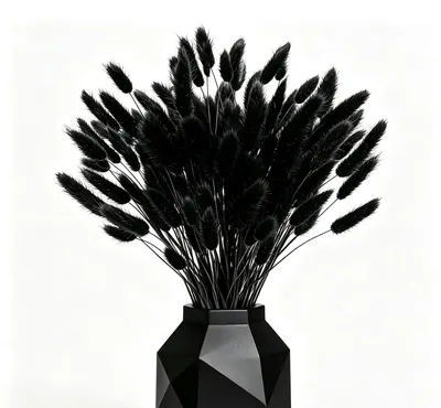 50 Stiele Pampasgras, getrocknet, schwarz, 40 cm, flauschig