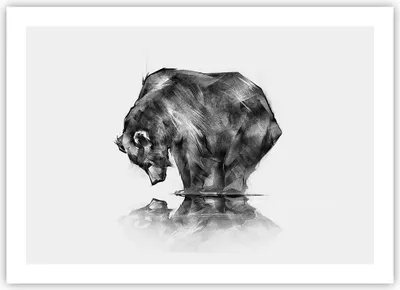 Produktbild von Poster - Poster ohne Rahmen - Bär Tier - 70x50 cm - Wand Bild - Wanddeko - Wandbilder - Kunstposter - Wandposter - Bilder - Kunstdruck - Wanddekoration - Wandbild - P2XAA70x50-3921