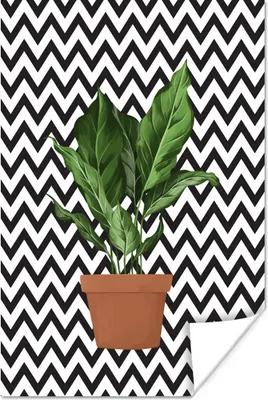 Produktbild von MuchoWow® Poster Pflanzen - Pflanzgefäß - Zimmerpflanze 80x120 cm - Papierdruck