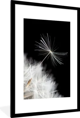 Produktbild von MuchoWow® Gerahmtes Poster Blume - Löwenzahn - Pflanze 60x90 cm - Poster mit Schwarzem Bilderrahmen Wandposter Rahmen Foto Bilder - Dekoration - Wandposter Wohnzimmer - Hochwertig