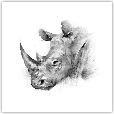 Produktbild von Poster - Poster ohne Rahmen - Nashorn Porträt Grafik - 40x40 cm - Wand Bild - Wanddeko - Wandbilder - Kunstposter - Wandposter - Bilder - Kunstdruck - Wanddekoration - Wandbild - P2XAC40x40-4378