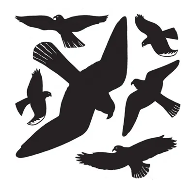 Produktbild von HERMA Etiketten "Warnvögel" Folie wetterfest 30 x 30 cm schwarz