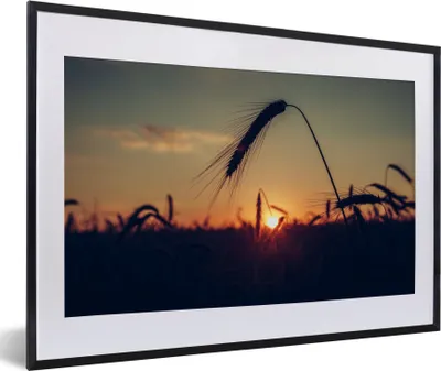 Produktbild von MuchoWow® Gerahmtes Poster Gras - Herbst - Sonnenuntergang - Jahreszeiten - Landschaft 60x40 cm - Poster mit Schwarzem Bilderrahmen Wandposter Rahmen Foto Bilder - Schlafzimmer - Plakat in Rahmen - Drucken