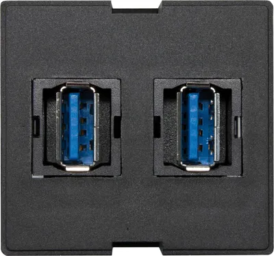 Produktbild von Evoline Wechselmodul 2x USB 3.0 Typ A Buchse vorne und hinten Kunststoff schwarz