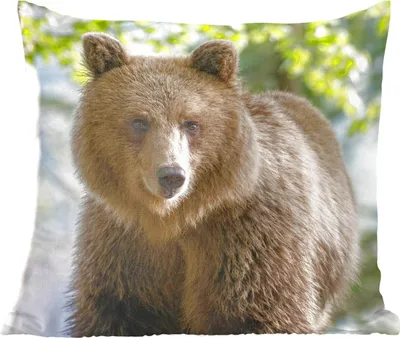 Produktbild von MuchoWow® Zierkissen Sofakissen Wohnzimmer Dekokissen 60x60 cm Bär - Braun - Wald - Sitzfläche - Foto Polster