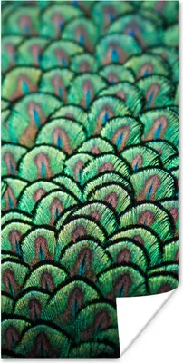 Produktbild von MuchoWow® Poster Pfau - Federn - Muster 40x80 cm - Dekoration