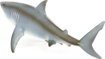 Immagine prodotto di Giocattolo modello squalo per bambini Simulazione vita marina Animale galleggiante in plastica cavo realistico