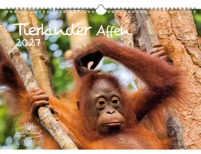 Produktbild von Tierkinder Affen DIN A3 Kalender für 2027 - Seelenzauber
