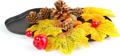 Produktbild von Herbstdekoration - Set mit Blatt, Tannenzapfen und Kürbis - Natürliche Elemente - 4 Arten (zufällig 1 Stück) [59021].