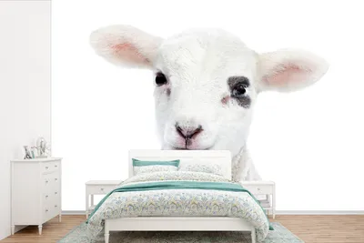 Produktbild von MuchoWow® Fototapete für Wohnzimmer oder Schlafzimmer Wandtapete Vinyl Motivtapete Lamm - Weiß - Tiere - Natur - 600x400 cm - Vinyltapeten