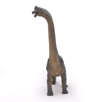 Produktbild von Dinosaurierfigur Brachiosaurus Spielfigur - Realistisch gestaltet - Ab 3 Jahren - Für Kinder