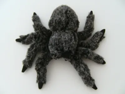 Produktbild von Plüschtier Spinne 19 cm, grau, Stofftiere Kuscheltiere Spinnen Halloween Vogelspinne