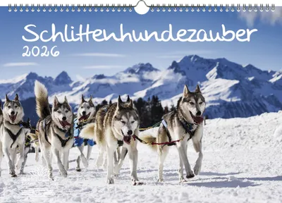 Produktbild von Schlittenhundezauber DIN A3 Kalender für 2026 Welpen und Hunde - Seelenzauber