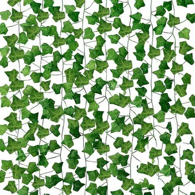 Immagine prodotto di Set di piante rampicanti in plastica, 12 pezzi, verde