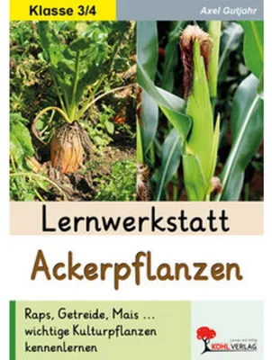 Produktbild von Lernwerkstatt Ackerpflanzen