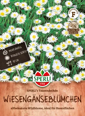 Artikelbild 2 von 'Wiesengänseblümchen' aus der Kategorie Gänseblümchensamen