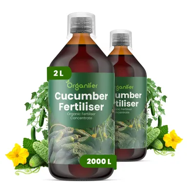 Produktbild von Gurken Dünger 2x1L – 3-4-3 NPK - Flüssigdünger Für Gurken – Für Gesunde Blätter & Üppige Früchte – Fördert Wurzeln & Vitalität – Organifer