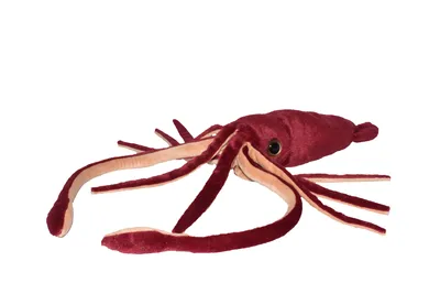 A plush toy squid on a white background.