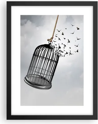 Produktbild von Gerahmtes Poster - Schwarzer Rahmen - Freiheit Käfig Vögel - 30x40 cm - Wand Bild - Wanddeko - Wandbilder - Kunstposter - Wandposter - Bilderrahmen - Bilder - Kunstdruck - P2BPA30x40-4997