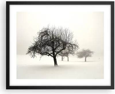 Produktbild von Gerahmtes Poster - Schwarzer Rahmen - Bäume Schnee Nebel - 50x40 cm - Wand Bild - Wanddeko - Wandbilder - Kunstposter - Wandposter - Bilderrahmen - Bilder - Kunstdruck - Wandbild - P2BAA50x40-4136