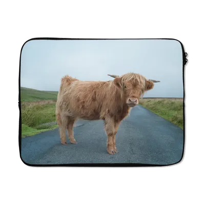 Produktbild von MuchoWow® Laptop Hülle 15 Zoll Scottish Highlander - Straße - Gras Laptoptasche - Laptoptasche - Sleeve - Rundum-Schutz