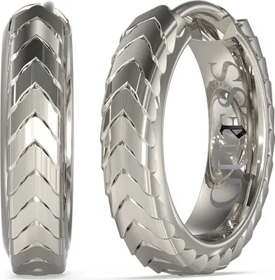 Produktbild von Ohrringen   Kreisförmig Guess Silber   Kollektion  - mann