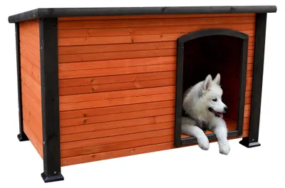 Produktbild von Wetterfeste Hundehütte aus Holz mit grauer Umrandung im Naturholz-Design