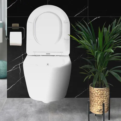 Produktbild von Geberit Hänge Wand Dusch WC Spülrandlos Toilette Taharet/Bidet Ventil Vorwandelement Set