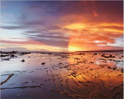 Produktbild von Wallario Poster - Wattwanderung am Meer bei Sonnenuntergang, Kunstdruck Größe: 40 x 50 cm