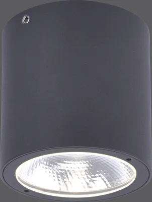 Produktbild von Paul Neuhaus LED Außendeckenlampe Georg Deckenlampe Außen Downlight IP54 warmweiß Eingang anthrazit Außenbereich, Innenbereich 9673-13