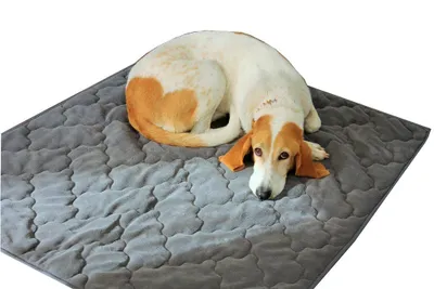 Produktbild von Hundedecke 100 x 120cm, anthrazit für Allergiker Hunde, kuschelweich