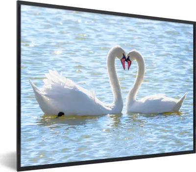 Produktbild von MuchoWow® Gerahmtes Poster Vögel - Schwan - Wasser - Liebe - Sonne 80x60 cm - Poster mit Schwarzem Bilderrahmen Wandposter Rahmen Foto Bilder - Schwarzem - Mit Gestell