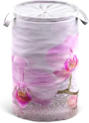Immagine prodotto di Cesto portabiancheria SANILO® Blooming