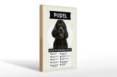 Produktbild von Holzschild Spruch 20x30cm Pudel Eigentumsrechte Geschenk