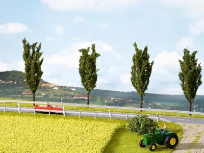 Obrázok produktu pre NOCH 07420, Zelená