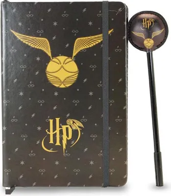 Produktbild von Harry Potter Tagebuch-Set mit Flügeln und Stift