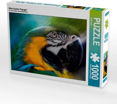 Produktbild von CALVENDO Puzzle Mein bunter Papagei | 1000 Teile Lege-Größe 64x48cm Foto-Puzzle für glückliche Stunden