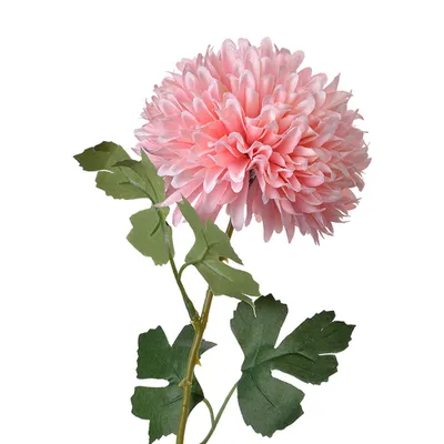 Immagine prodotto di Fiore artificiale Clayre & Eef 54 cm plastica rosa