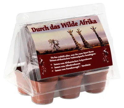Obrázok produktu pre Miniatúrna skleníková súprava – "Divoká Afrika" – s osivami tulipánovníka, arašidovníka a strelitzie