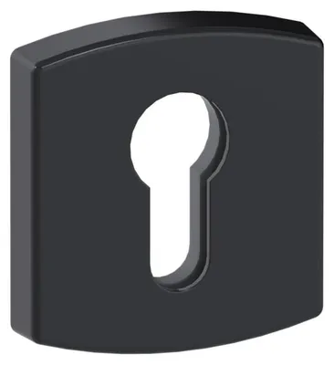 Image de Lot de rosaces Vachette pour porte d'entrée, zamak, noir, 52 mm