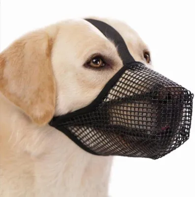 Produktbild von Komfortable Hundeleine für kleine, mittelgroße und große Hunde, atmungsaktives und verstellbares Netzwerkdesign