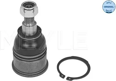 Zdjęcie produktu dla Sworzeń Wahacza Honda Accord 03-08 Lewy/Prawy Dolny
