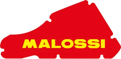 Immagine prodotto di Spugna filtro aria Malossi RED SPONGE