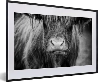 Produktbild von MuchoWow® Gerahmtes Poster Schottischer Highlander - Kuh - Schwarz - Weiß - Tiere 60x40 cm - Poster mit Schwarzem Bilderrahmen Wandposter Rahmen Foto Bilder - Schlafzimmer - Plakat in Rahmen - Drucken