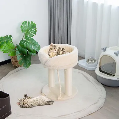 Produktbild von Katzenbaum Katzenkratzbaum mit Weicher Sitzfläche Sisalturm für Katzen Beige