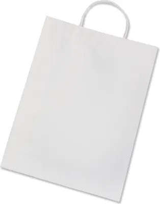 Image de Folia Sacs en papier kraft 110g/m², 31x11x42cm, 15 pièces, blanc