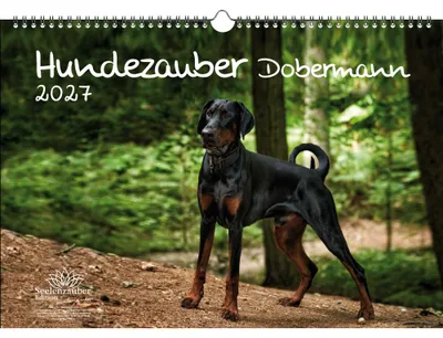 Produktbild von Hundezauber Dobermann DIN A3 Kalender für 2027 Welpen und Hunde - Seelenzauber