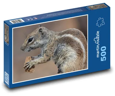 Obrázek produktu pro Puzzle 500 Veverka s kouskem jídla - martinpuzzle