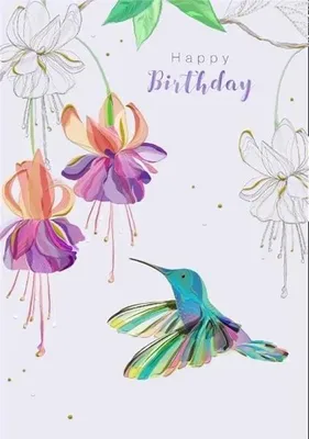 Produktbild von Karte B6 + Umschlag MO8514X1 „Kolibri-Geburtstag“ – Turnowsky