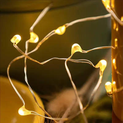 Produktbild von LED Tauperlenlichterkette, 20 LEDs, warmweiß, beleuchtet 0,95 m, Batterie 570700